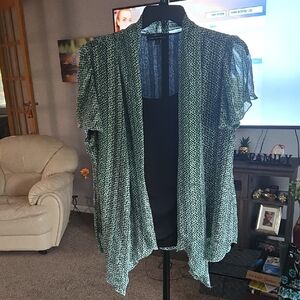 Sara Michelle Blue and Green Sheer Kimono Cardigan ✨️ ⭐️ SIZE 1X